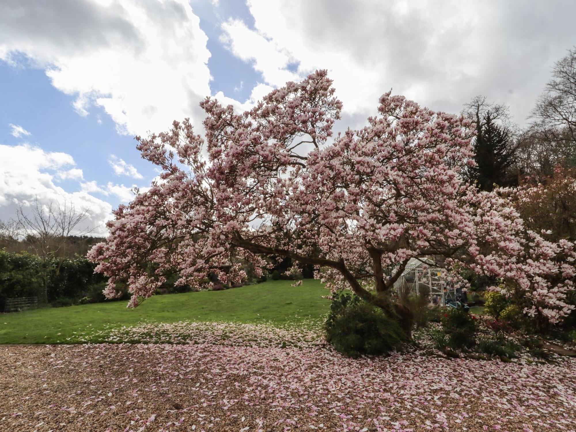 Beau Cottage Bewdley Zewnętrze zdjęcie